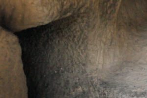 2014-10-19_15-32-35-compressor