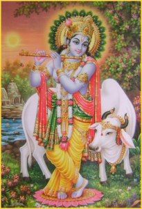 Krishna Avatar