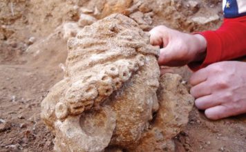 Buddhist sculptures & Heads discovered in Pakistan