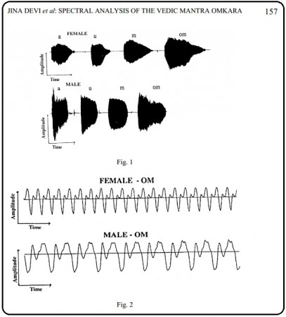 OM Waveforms