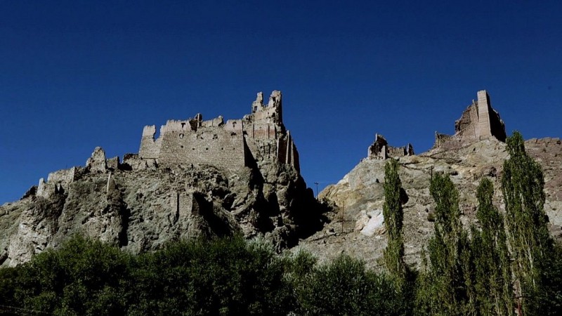 Chiktan Fort, Ladakh