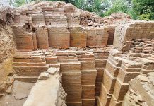 1000-year-old Hindu temple excavated in Dinajpur