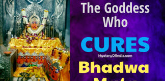 Bhadwa Mata the godess who cures neemuch