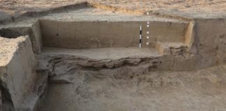 Remnants Of Harappan Period House Found In Uttar Pradesh