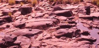 Countless Rock Carved Shiva Lingas of Sahasralinga