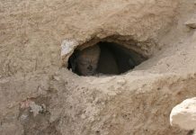 2014-09-12-Hole-218×150