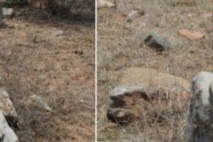 An-ancient-carving-Great-Escapes-and-idol.-Arattipura-India-324×400