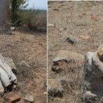 An-ancient-carving-Great-Escapes-and-idol.-Arattipura-India-720×344