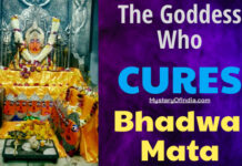 Bhadwa Mata the godess who cures neemuch