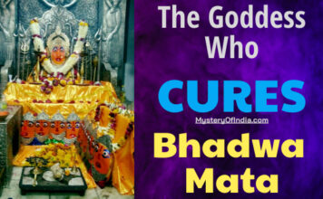 Bhadwa Mata the godess who cures neemuch